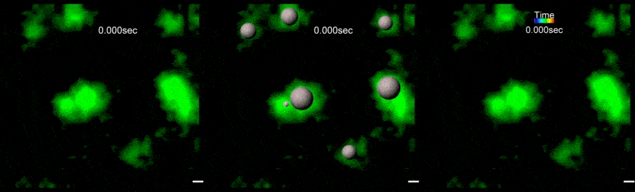 Membrane nanodomain imaging and particle tracking