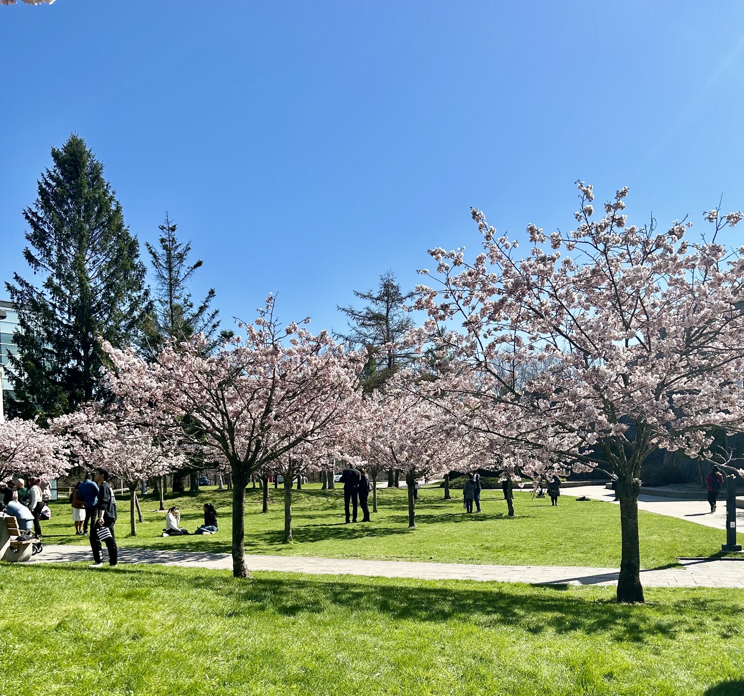 Buildings and green space at the University of Toronto Scarborough