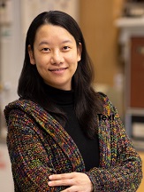 Dr. Xue Pan