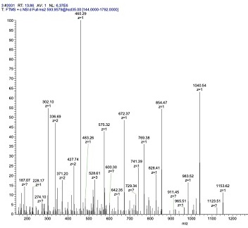 In vitro phosphorylation assays